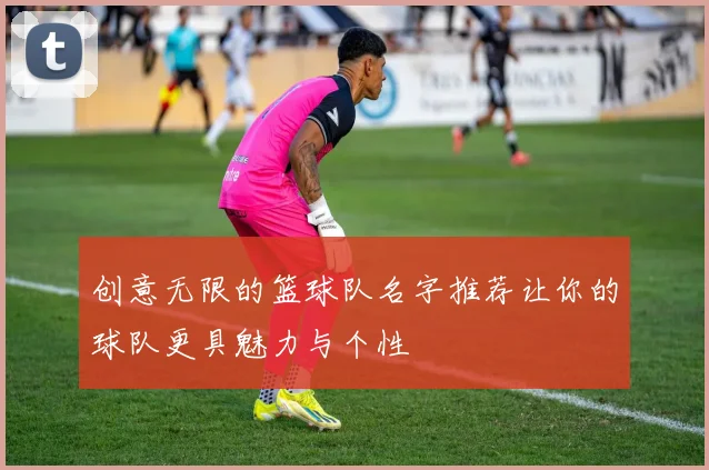 创意无限的篮球队名字推荐让你的球队更具魅力与个性