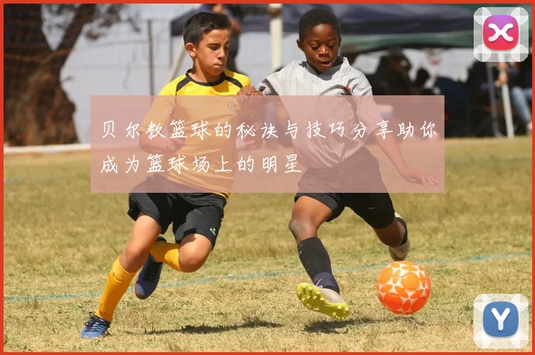 贝尔教篮球的秘诀与技巧分享助你成为篮球场上的明星