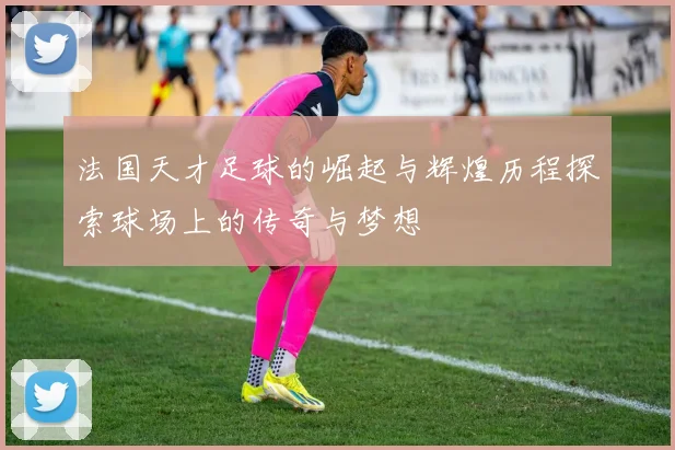 法国天才足球的崛起与辉煌历程探索球场上的传奇与梦想
