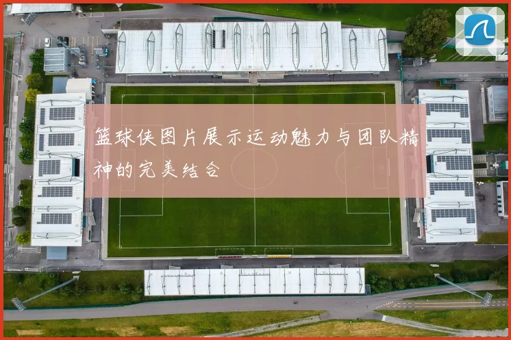 篮球侠图片展示运动魅力与团队精神的完美结合