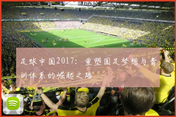 足球中国2017：重塑国足梦想与青训体系的崛起之路