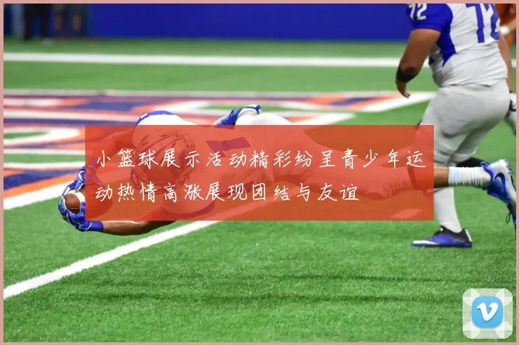小篮球展示活动精彩纷呈青少年运动热情高涨展现团结与友谊