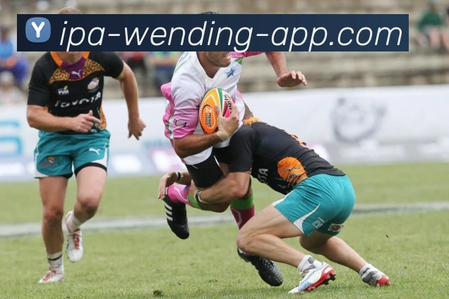 体育电竞平台生态图